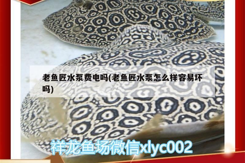 老魚匠水泵費電嗎(老魚匠水泵怎么樣容易壞嗎)