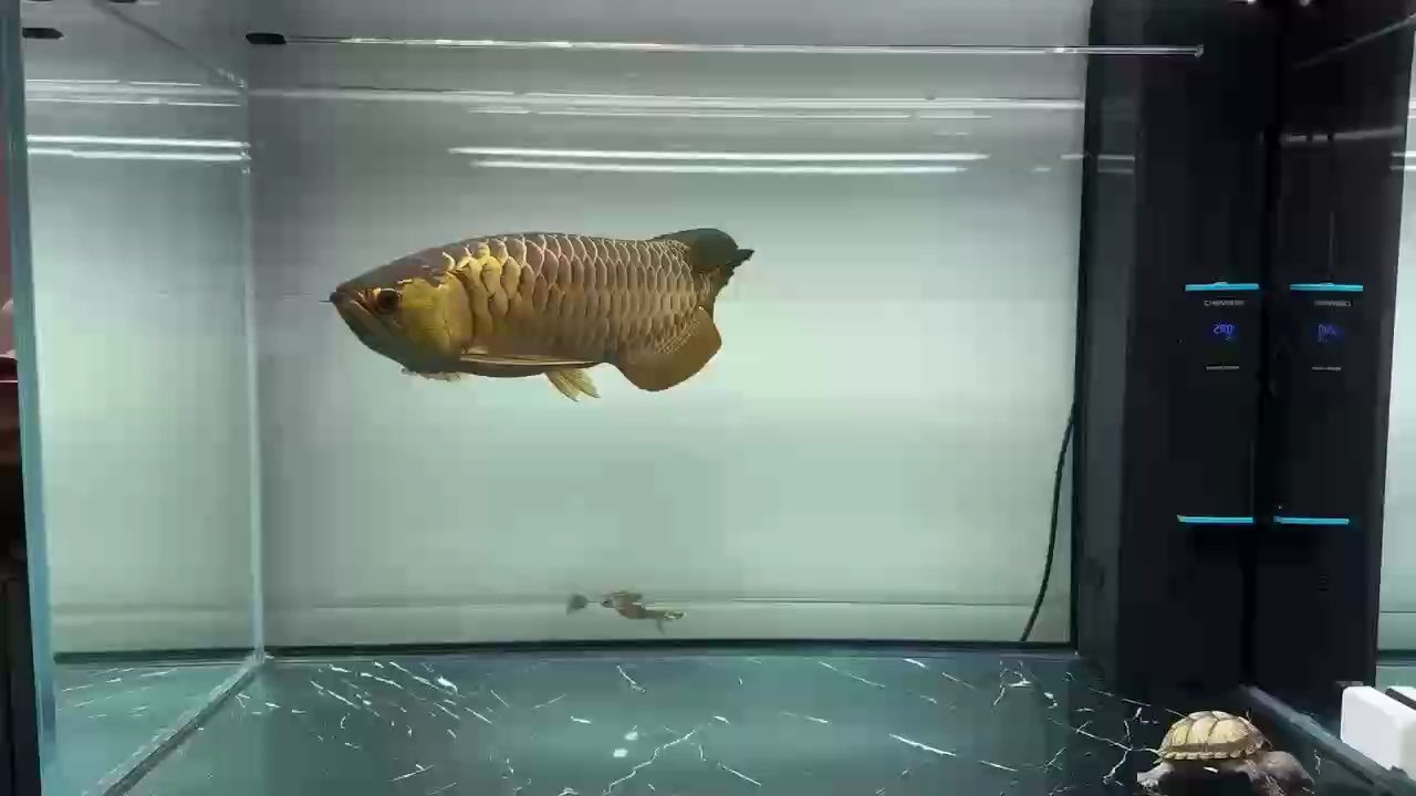 打卡 空氣缸
