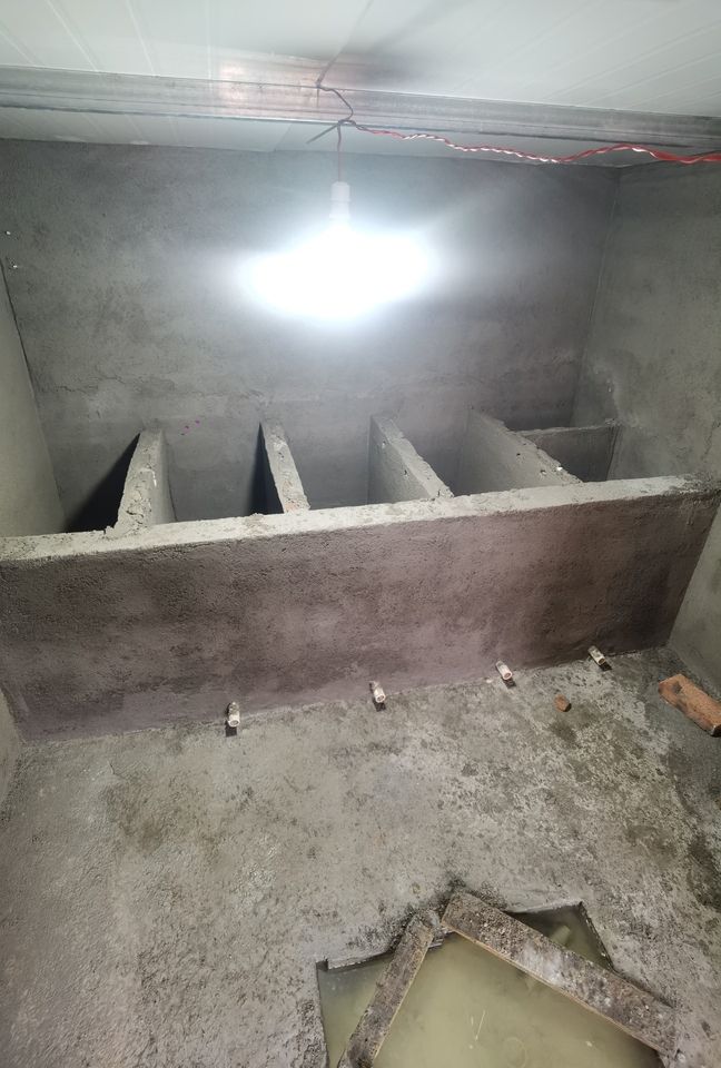 我的魚池建成記 我的魚池建成記 龍魚論壇 第9張