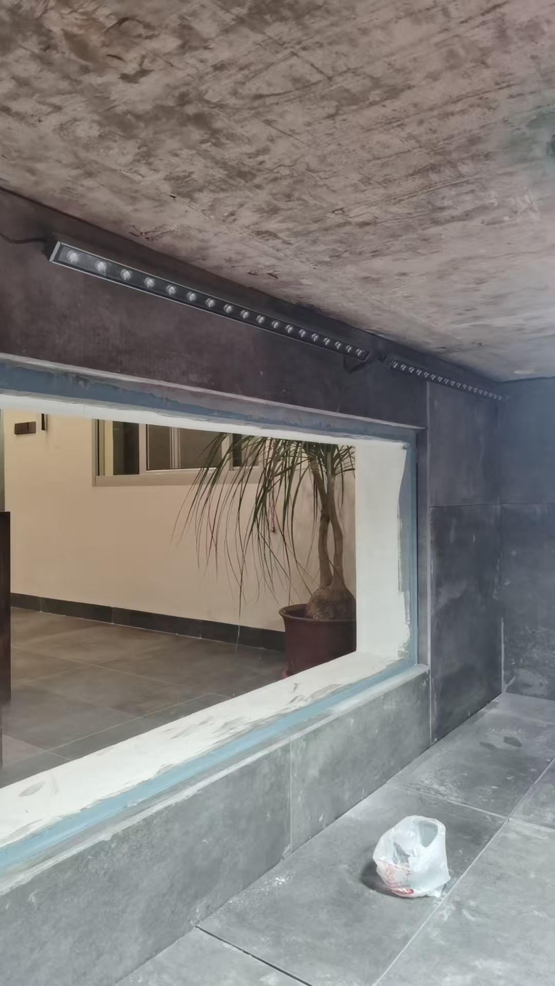 我的魚池建成記 我的魚池建成記 龍魚論壇 第17張