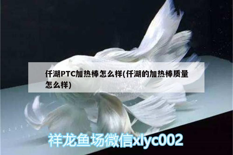 仟湖PTC加熱棒怎么樣(仟湖的加熱棒質(zhì)量怎么樣)