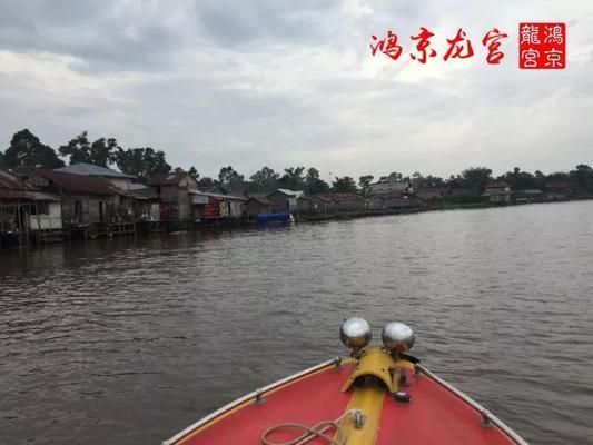 鴻京龍宮紅龍魚怎么樣：鴻京龍宮紅龍魚市場價格對比鴻京龍宮紅龍魚市場價格對比 鴻京龍宮紅龍魚怎么樣：鴻京龍宮紅龍魚市場價格對比鴻京龍宮紅龍魚市場價格對比 紅龍魚百科 第4張