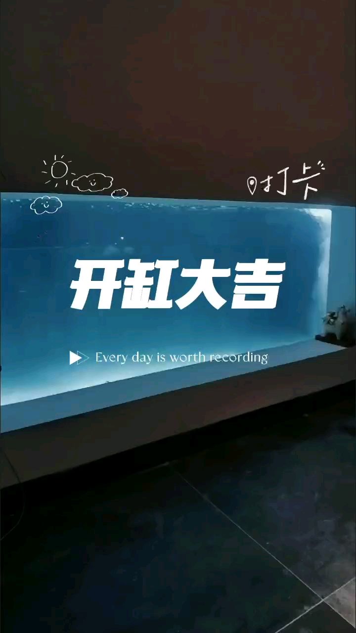 盼了五年的魚池開缸了