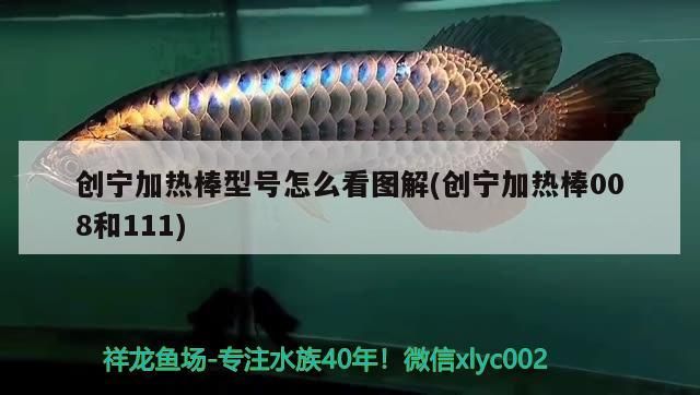 創寧加熱棒型號怎么看圖解(創寧加熱棒008和111)
