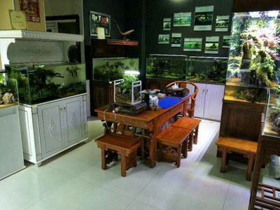 水族館加盟店有哪些好：水族館加盟品牌及其詳細信息：水族館加盟品牌及其詳細信息