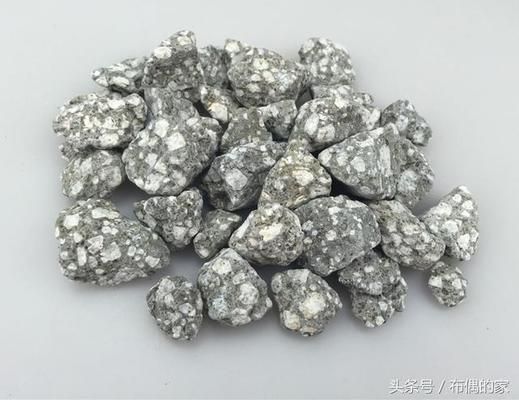 怎樣挑選金龍魚視頻教程：怎樣挑選金龍魚視頻，開啟觀賞魚飼養的精彩之旅