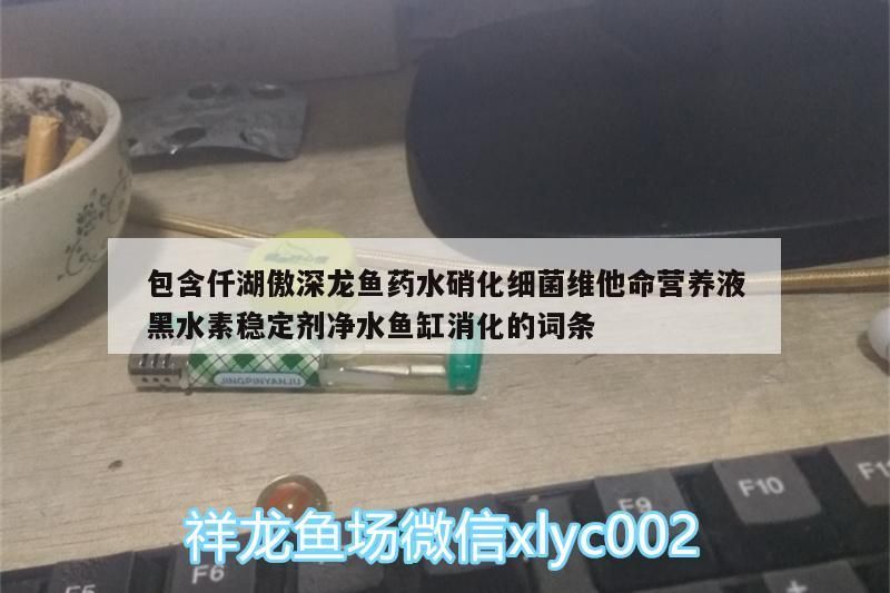 包含仟湖傲深龍魚藥水硝化細菌維他命營養(yǎng)液黑水素穩(wěn)定劑凈水魚缸消化的詞條