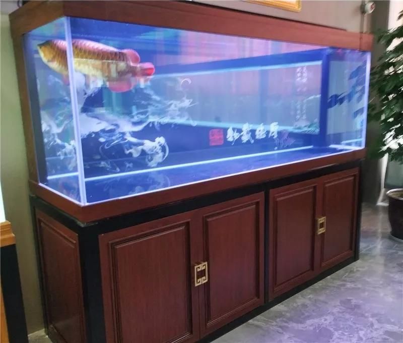 祥龍魚場介紹