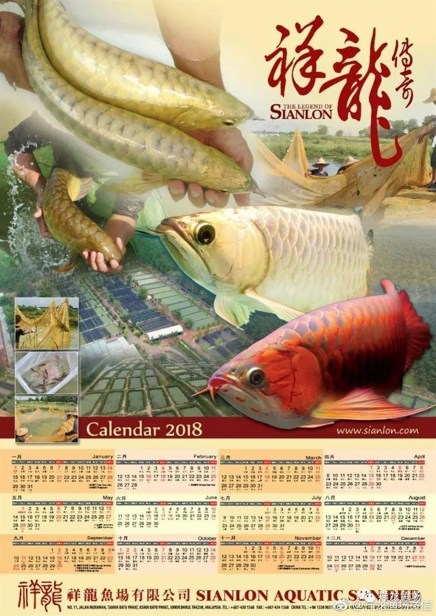 祥龍魚場介紹