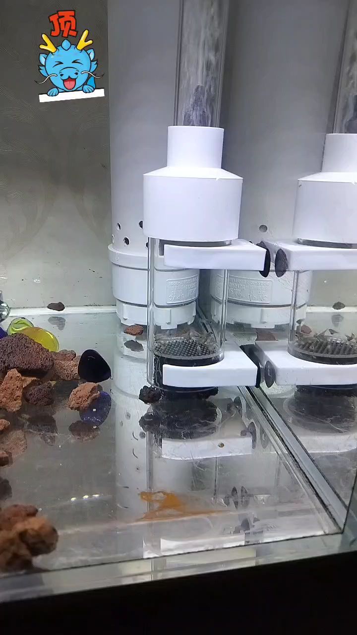 春季是個繁殖的季節