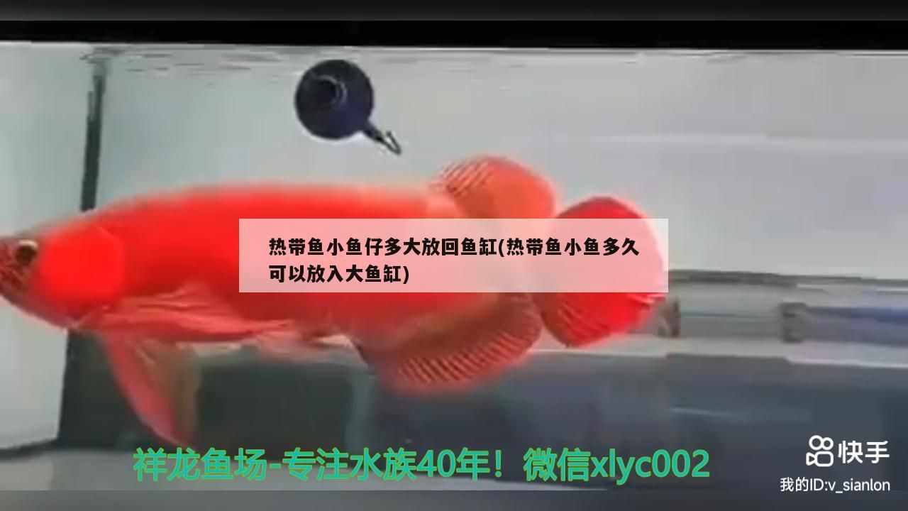 魚缸專業清洗需要哪些流程呢 魚缸專業清洗需要哪些流程呢圖片