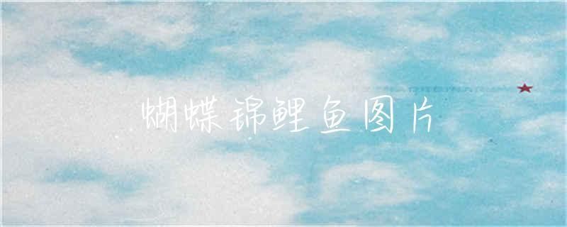 蝴蝶鯉品種圖片（蝴蝶鯉的種類及種類）