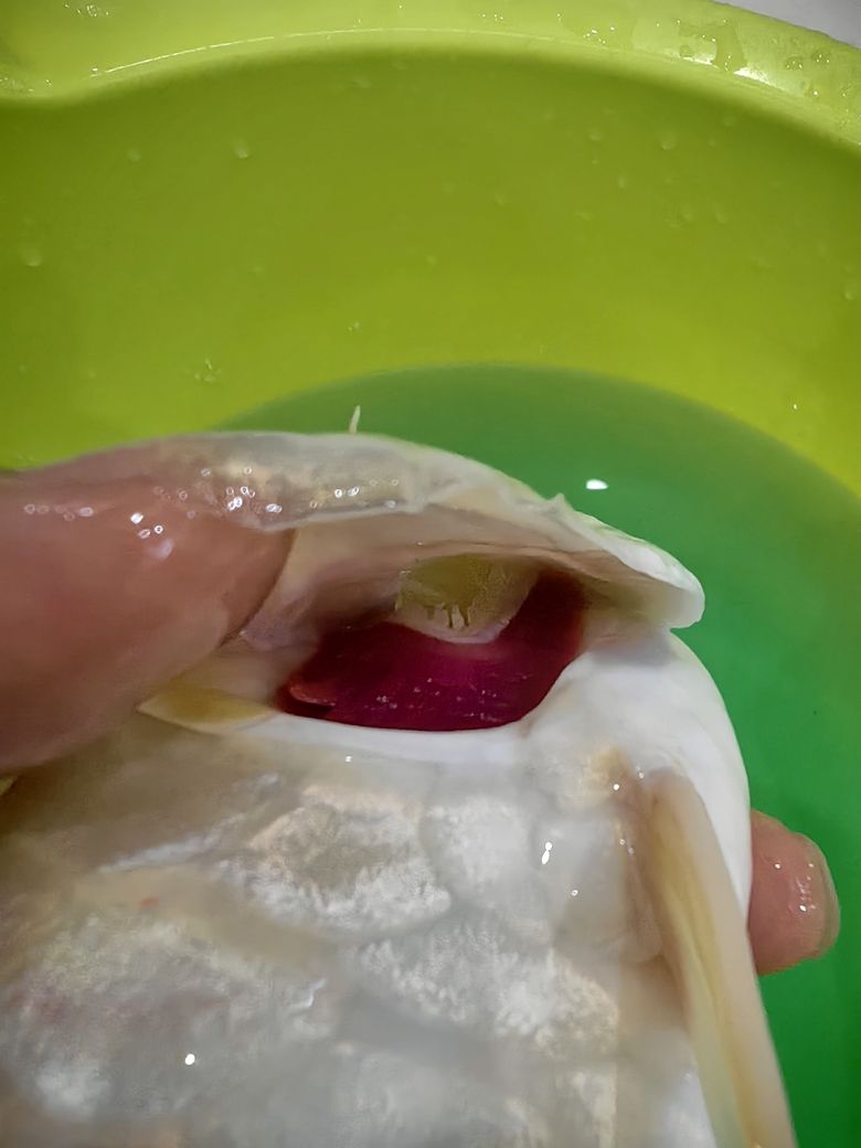 大哥們幫我看下這個腮有問題嗎？