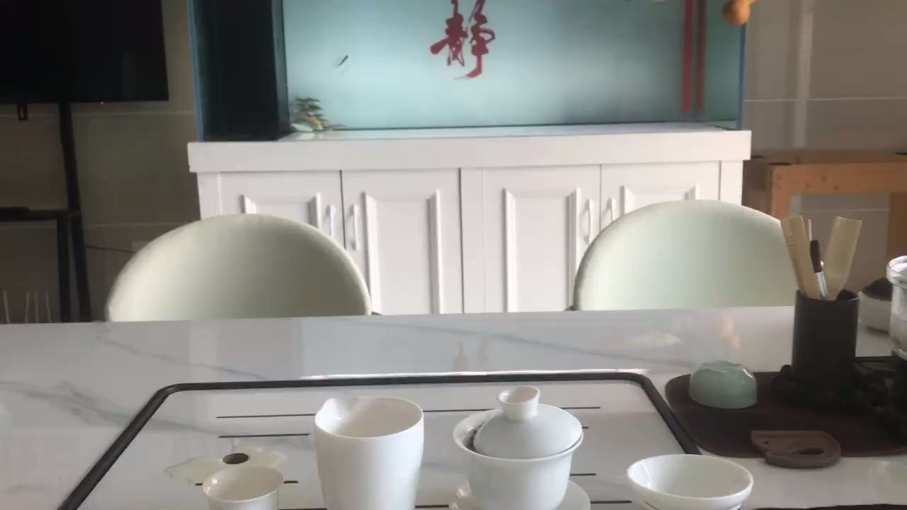 又是喝茶看魚的一天