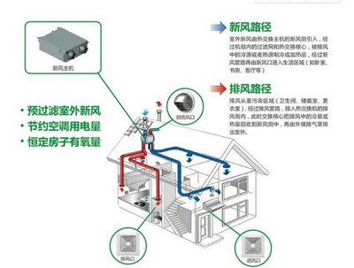 怎樣使金龍魚金質更重一些呢：探尋金龍魚增重金質之法