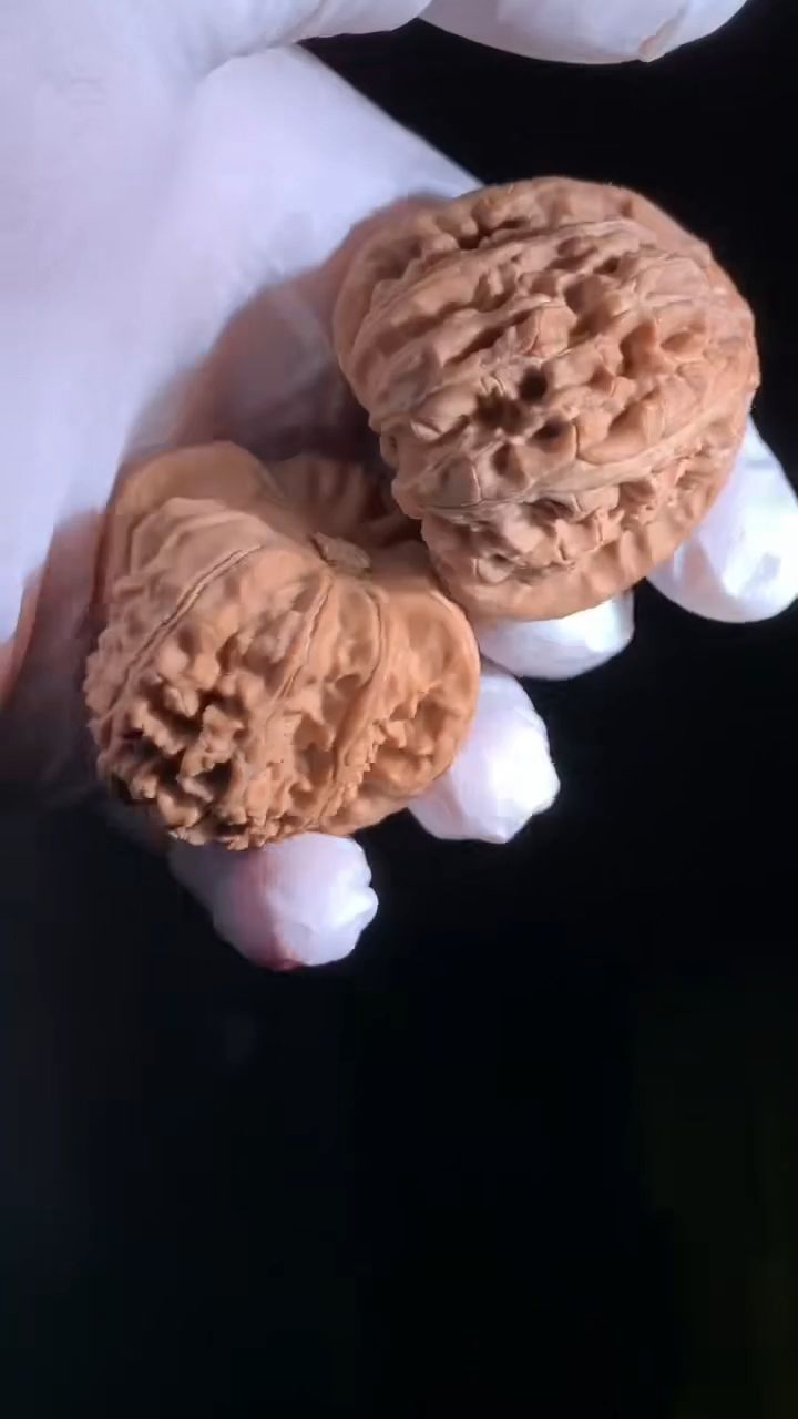 三角白核桃