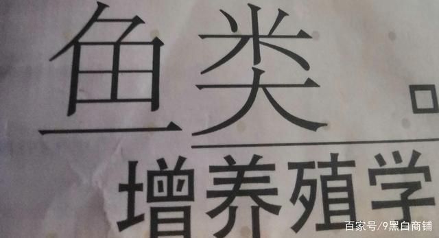 怎樣識別金龍魚的真假圖解視頻：金龍魚真假識別全攻略，圖文詳解，輕松辨真偽