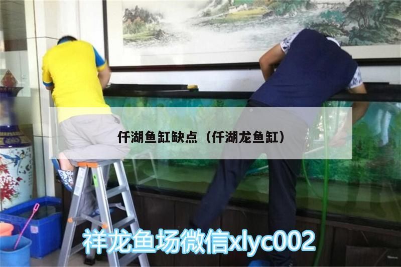 仟湖魚缸缺點（仟湖龍魚缸）