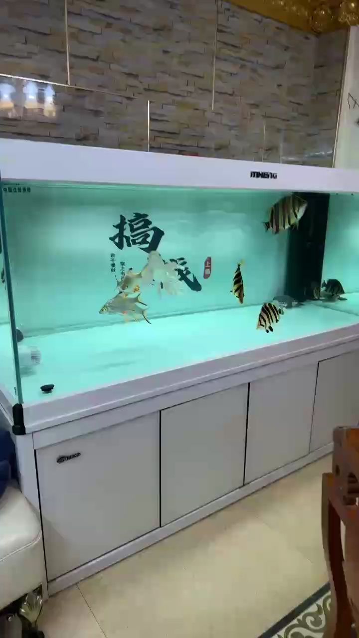 換個背景亮堂