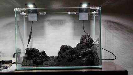 龍魚缸最佳的高度是多少vs祥龍魚場：祥龍魚場龍魚缸尺寸選擇指南龍魚缸尺寸選擇指南