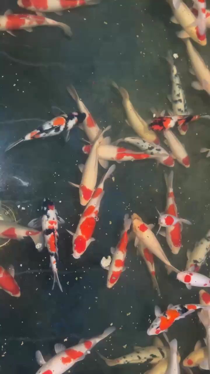 漁場直銷