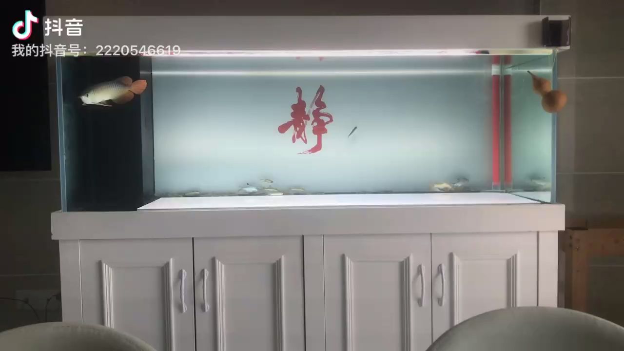 愛養魚的裝修佬