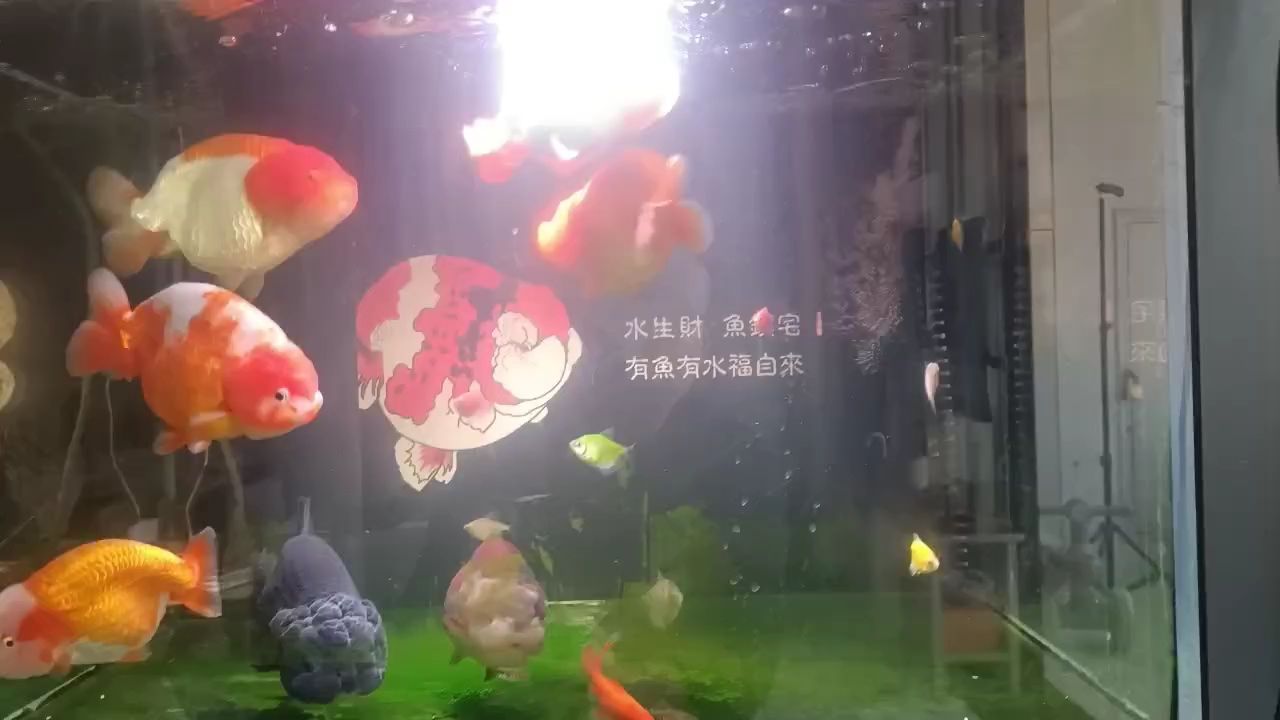 請指教