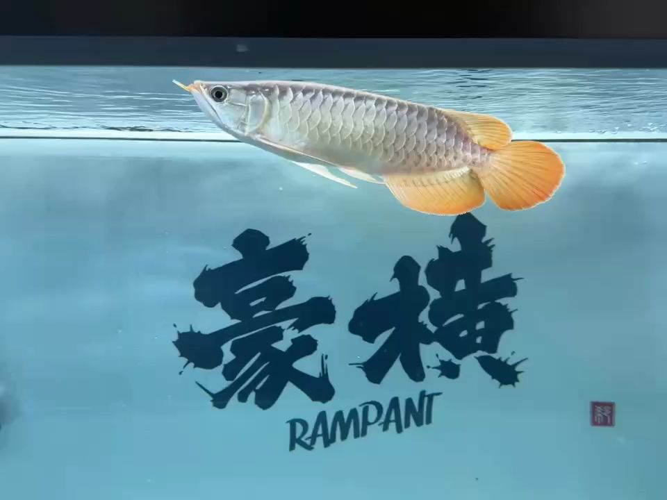 記錄他的成長記錄