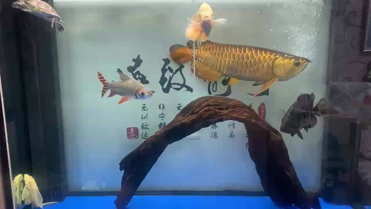 周末換水