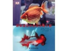 觀賞魚的分類鑒別和鑒賞（觀賞魚全世界500多種觀賞魚的彩色圖鑒）