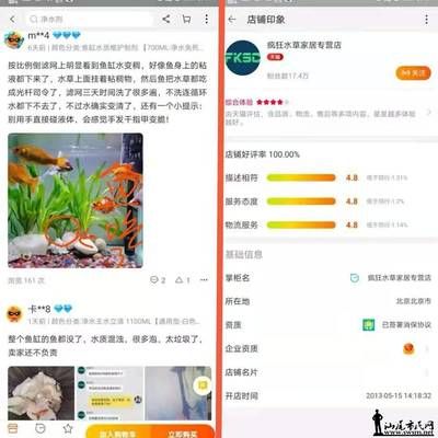 南通觀賞魚微信群有哪些平臺可以直播（南通觀賞魚微信群有哪些平臺可以直播的）