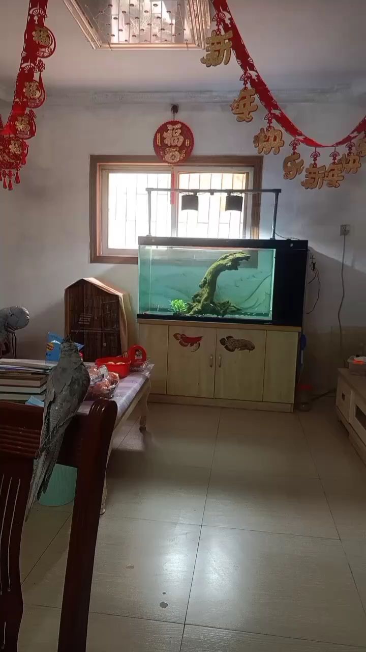 嘗試養點青苔