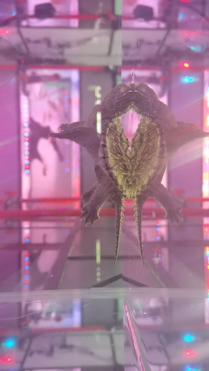 早上開(kāi)始盤盤串