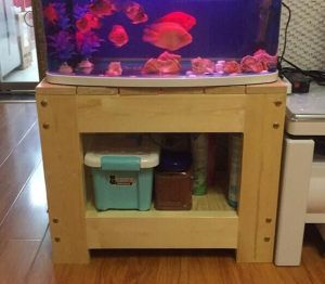 50長的魚缸大約多少錢：50厘米長的魚缸50厘米長的魚缸價格信息50長的魚缸多少錢
