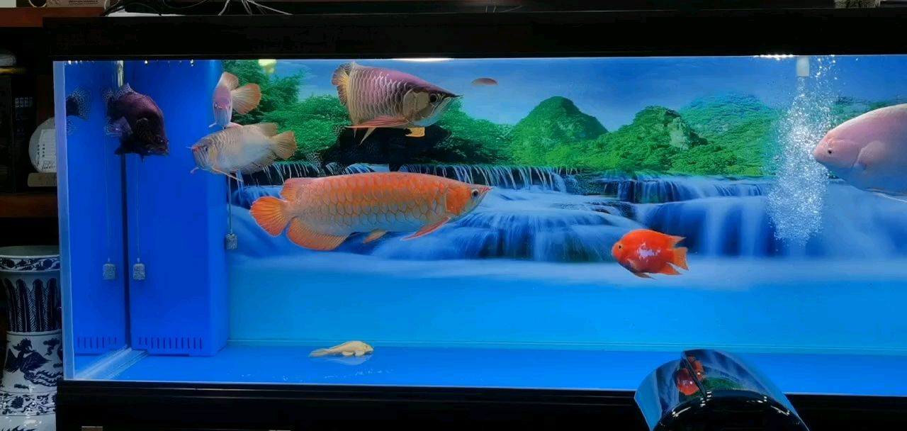 很久沒有露臉了