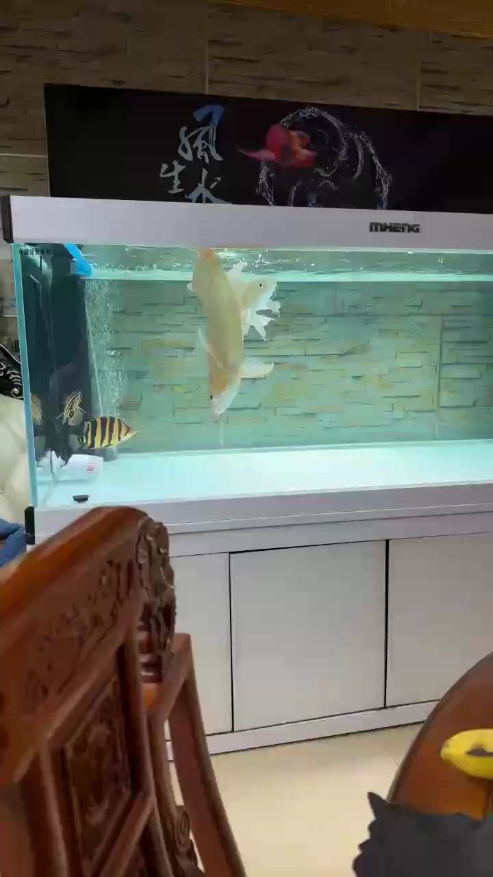 走好