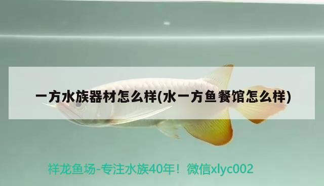 飼料 一方水族器材怎么樣(水一方魚餐館怎么樣) 一方水族 一方水族器材怎么樣(水一方魚餐館怎么樣) 一方水族器材怎么樣(水一方魚餐館怎么樣) 一方水族