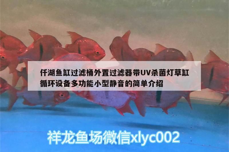 仟湖魚缸過濾桶外置過濾器帶UV殺菌燈草缸循環設備多功能小型靜音的簡單介紹