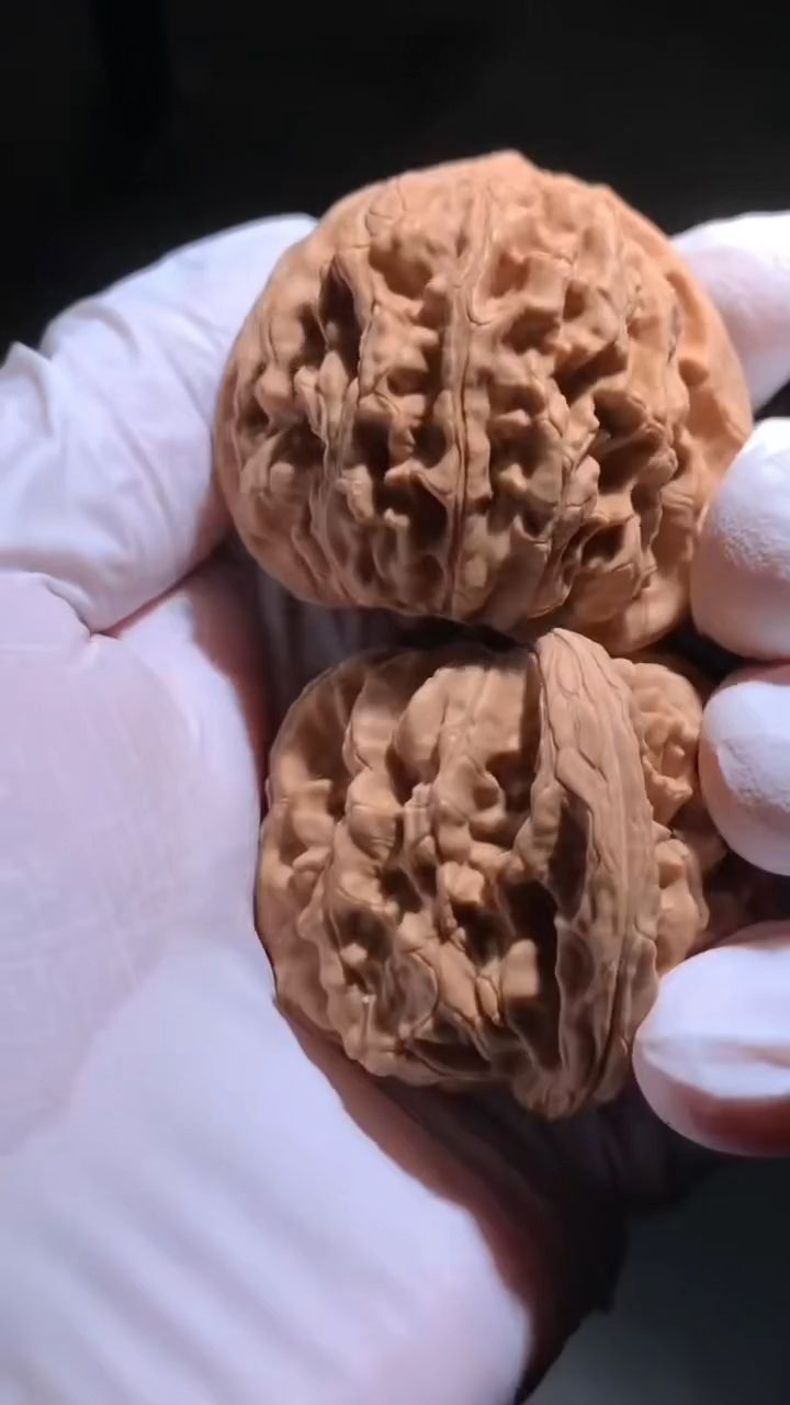 龍脊獅子頭核桃