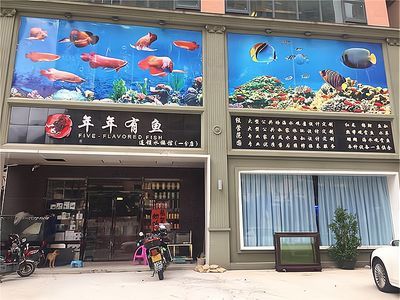 開水族館掙錢嗎現在（開一家水族館是否盈利取決于多種因素）