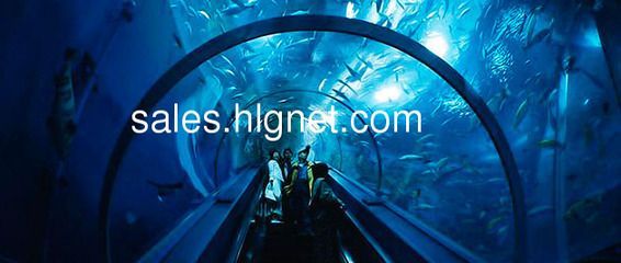 開水族館掙錢嗎現在（開一家水族館是否盈利取決于多種因素）