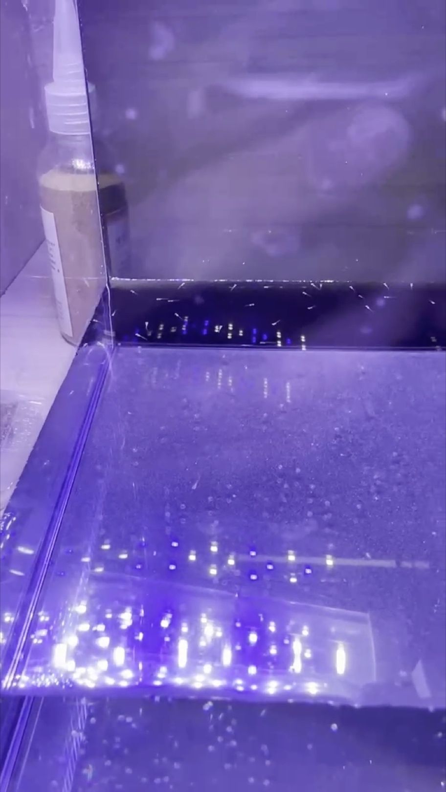 沉浸式快速體驗青鱂魚的孵化#青鱂魚孵化