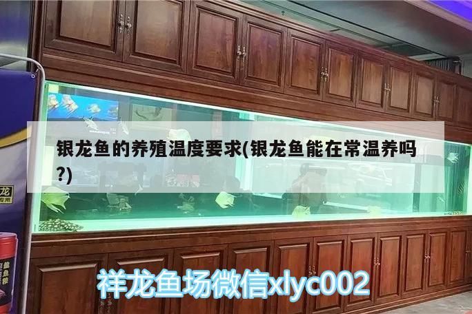 飼料 銀龍魚的養(yǎng)殖溫度要求(銀龍魚能在常溫養(yǎng)嗎?) 銀龍魚百科 銀龍魚的養(yǎng)殖溫度要求(銀龍魚能在常溫養(yǎng)嗎?) 銀龍魚的養(yǎng)殖溫度要求(銀龍魚能在常溫養(yǎng)嗎?) 銀龍魚百科