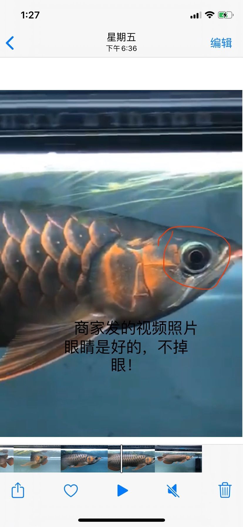 孟吉爾我真的漲知識了