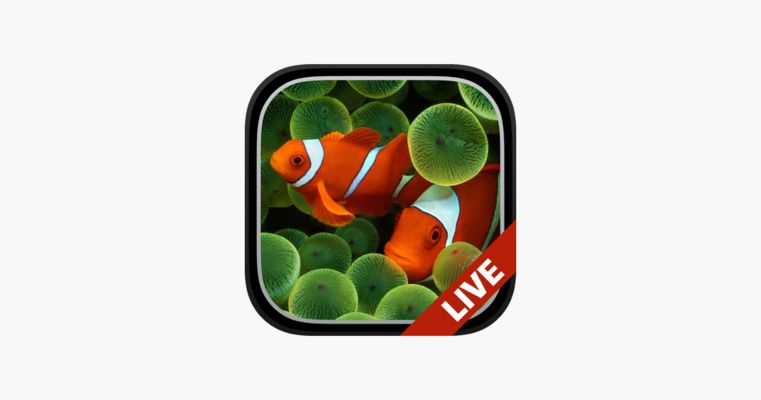 水族館動態壁紙圖片大全（3d水族館動態壁紙）