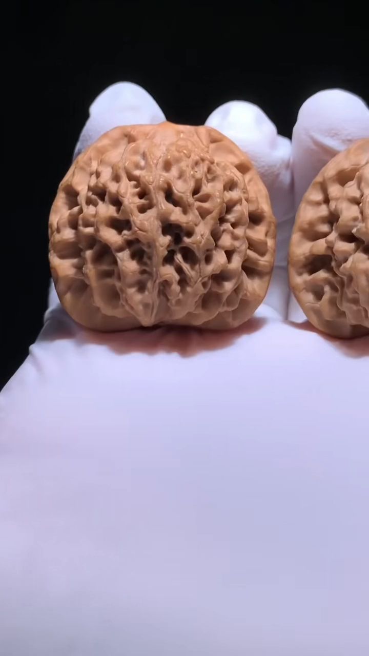 秦悶核桃