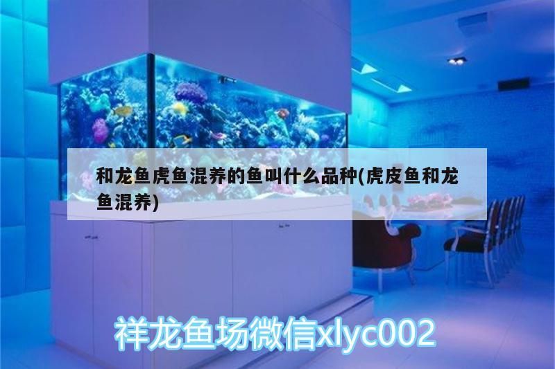 廣州魚缸水族箱批發店的電話號碼查詢是多少 廣州有哪些賣魚缸實體店