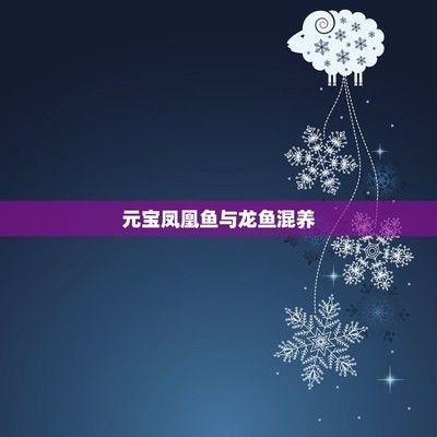 元寶鳳凰魚專用飼料配方：元寶鳳凰魚專用飼料品牌推薦,自制元寶鳳凰魚飼料蛋白質含量