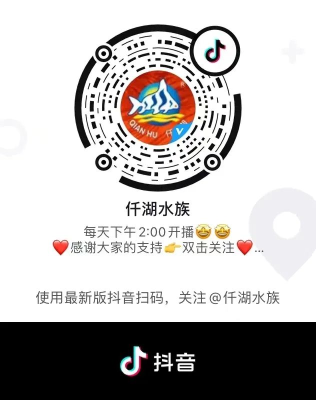 仟湖娛樂｜來面試的小姐姐差點笑到缺氧