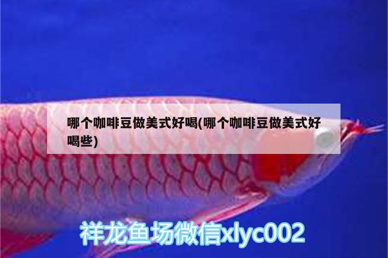 哪個咖啡豆做美式好喝(哪個咖啡豆做美式好喝些)
